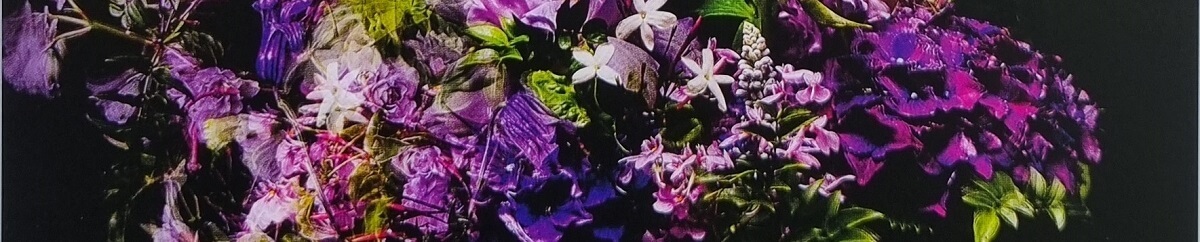 flower Banner used on the feel good hair oil category page